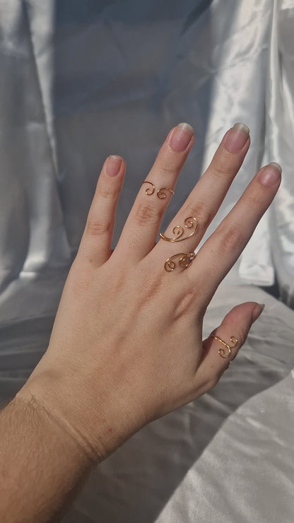 Anellini Double Wire